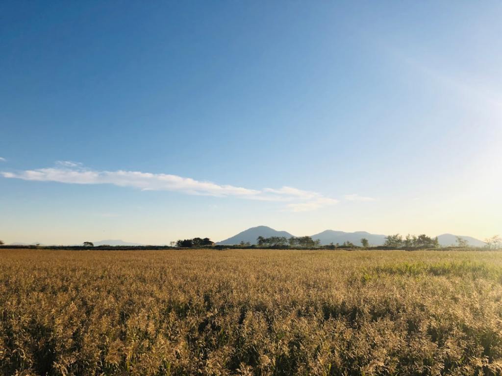 Molinos Agro multiplicó por tres sus ganancias en el último&nbsp;año