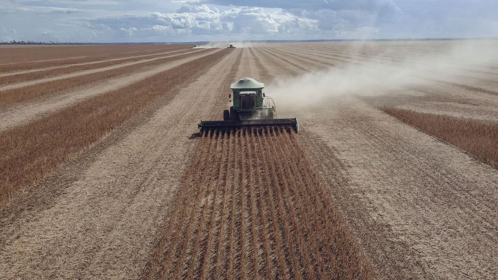 Agroindustria crece 17%: exportaciones llegan a casi US$ 22.000&nbsp;millones