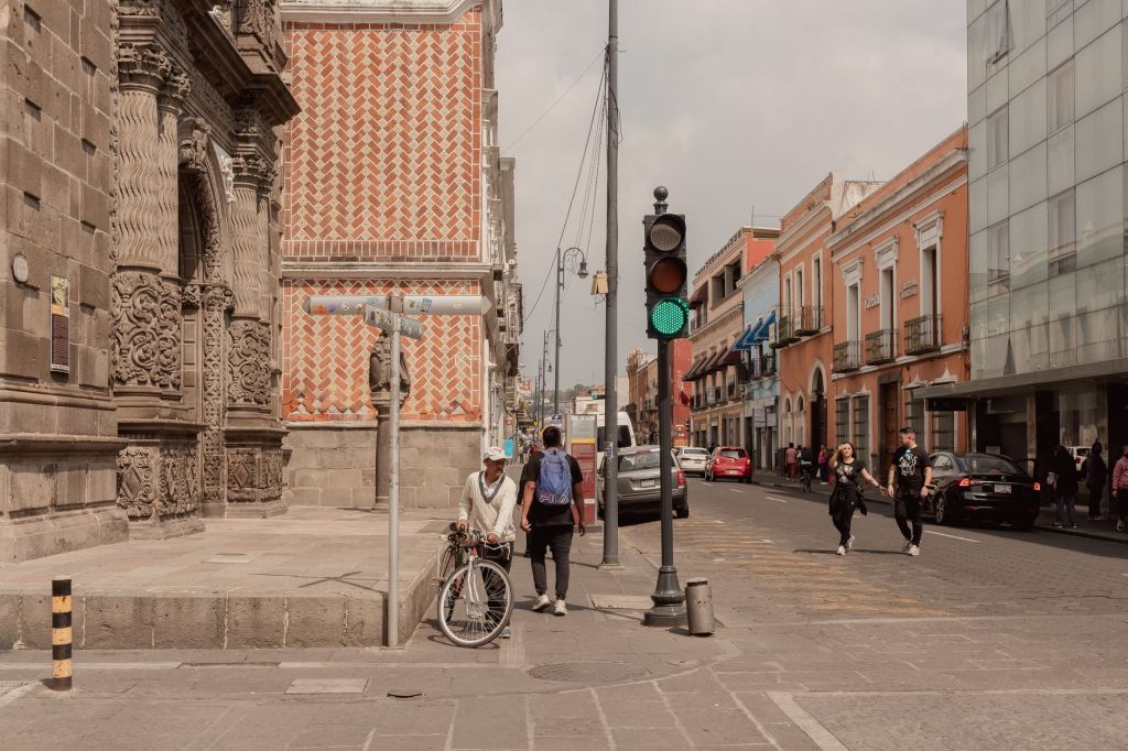 Tensiones en la ganadería por la propuesta sobre aportes al&nbsp;IPCVA
