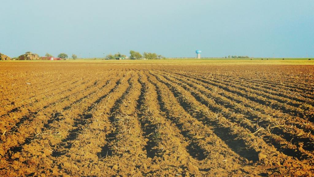 Línea de créditos para productores: Banco de Corrientes con tasa&nbsp;subsidiada